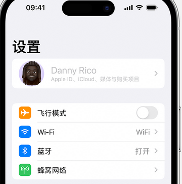 肃州appleID维修服务iPhone设置中Apple ID显示为灰色无法使用 