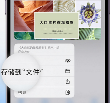 肃州apple维修中心分享iPhone文件应用中存储和找到下载文件