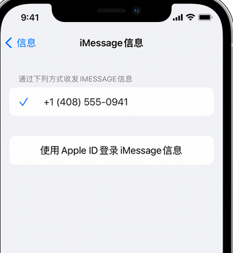 肃州apple维修iPhone上无法正常发送iMessage信息 