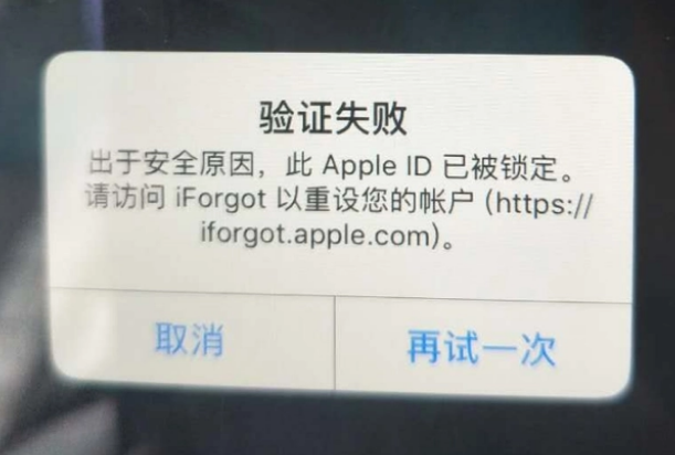 肃州iPhone维修分享iPhone上正常登录或使用AppleID怎么办 