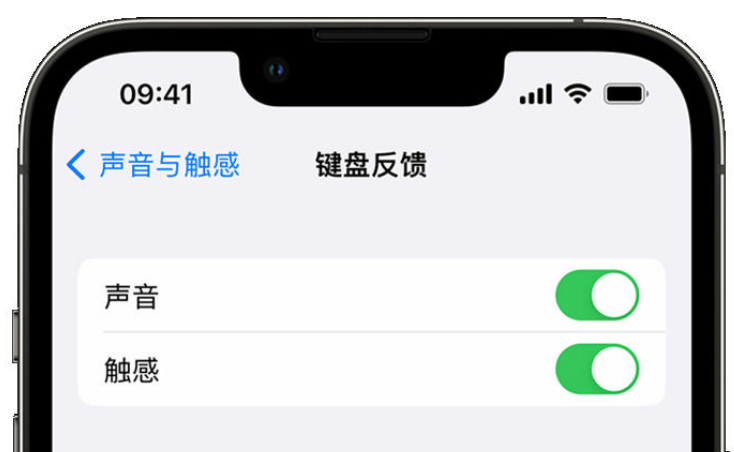 肃州苹果手机维修分享iPhone 14触感键盘使用方法 