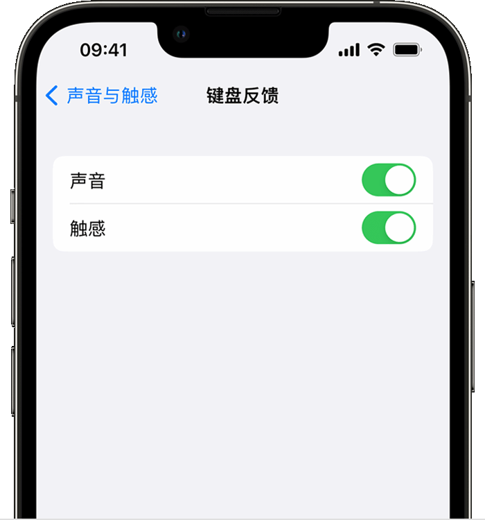 肃州苹果14维修店分享如何在 iPhone 14 机型中使用触感键盘 