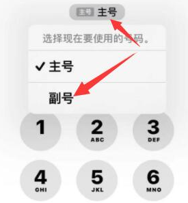 肃州苹果14维修店分享iPhone 14 Pro Max使用副卡打电话的方法 