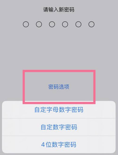 肃州苹果14维修分享iPhone 14plus设置密码的方法 