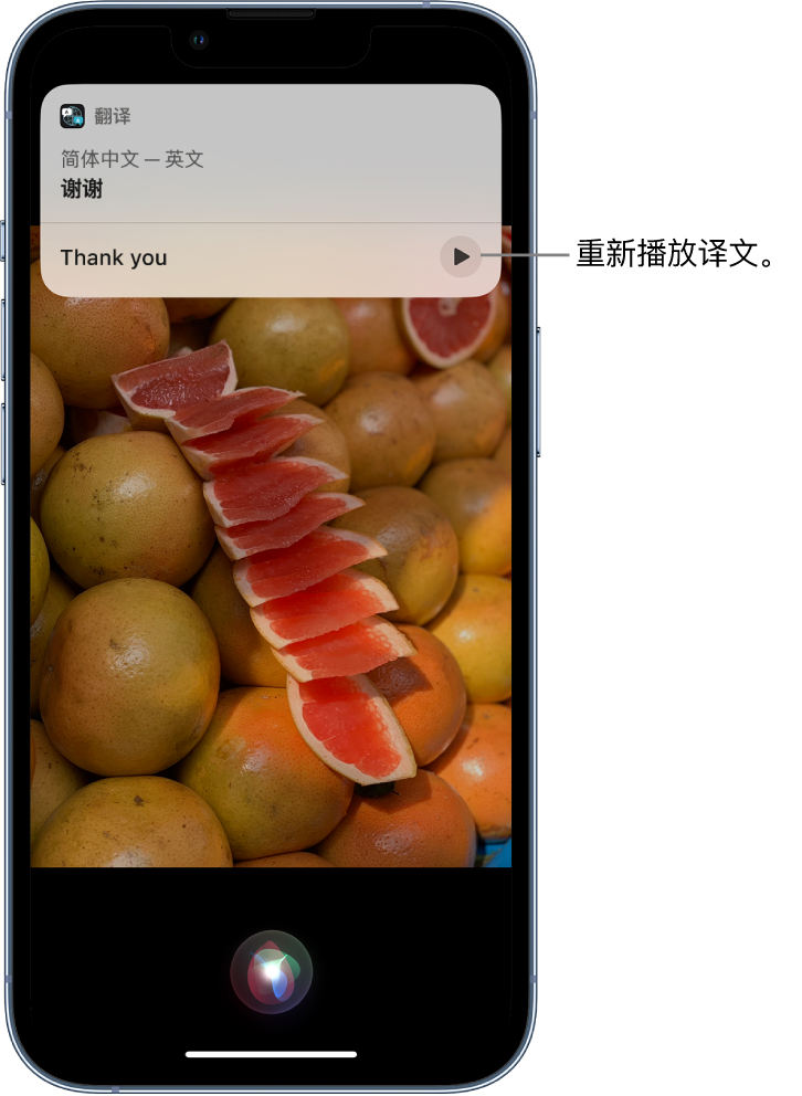 肃州苹果14维修分享 iPhone 14 机型中使用 Siri：了解 Siri 能帮你做什么 