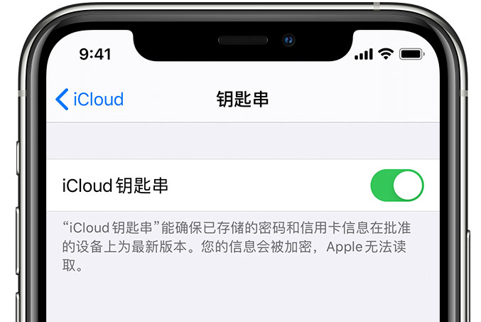 肃州苹果手机维修分享在 iPhone 上开启 iCloud 钥匙串之后会储存哪些信息 