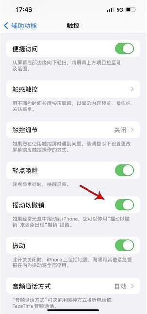 肃州苹果手机维修分享iPhone手机如何设置摇一摇删除文字 