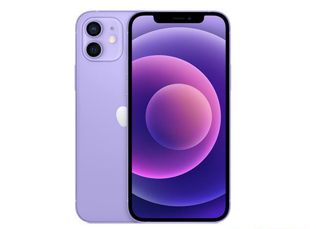 肃州苹果手机维修分享现阶段要不要入手紫色版iPhone12 