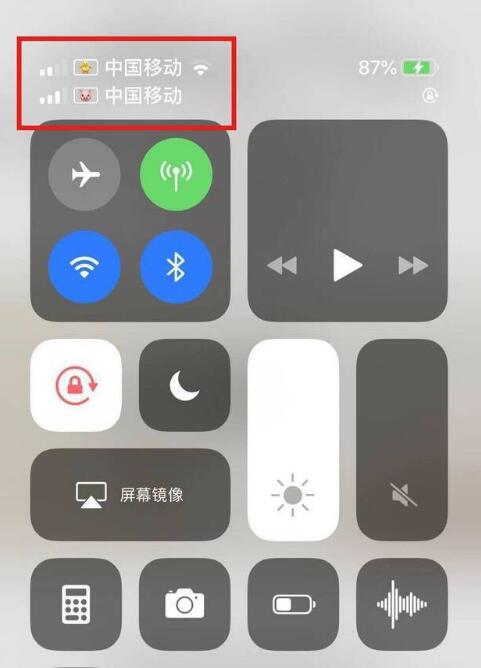 肃州苹果手机维修分享为 iPhone 12 双卡设置标签 