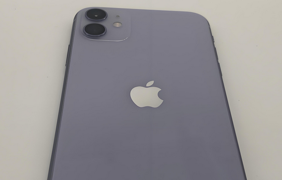 肃州苹果11系统维修分享iPhone11手机系统崩溃无法开机如何解决 